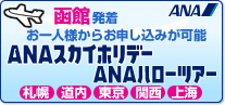 函館発東京行き 札幌行き 関西行き航空券 お得な函館発の国内旅行/ANAスカイホリデー
