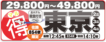 スカイホリデー 格安 東京旅行パック